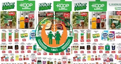 Tarım Kredi aktüel indirimleri başladı! Tarım Kredi 1-8 Haziran fırsatları: zeytingyağı,sucuk,deterjanlar...
