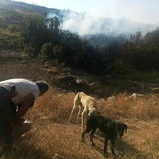 Makilik alanı ateşe veren şahsı Doğa Koruma ekipleri yakaladı