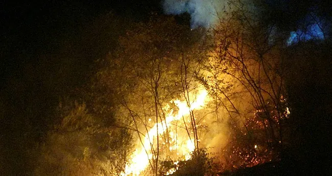 Son dakika haberler... Trabzon'da son 48 saatte 35 farklı noktada yangın! Trabzon yangını son durum ne? - - En Son Haber