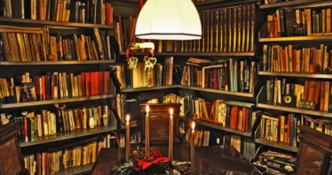 Roman türleri nelerdir?