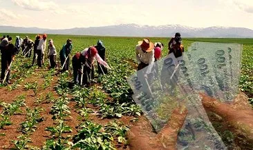 TÜİK açıkladı! Tarım işçilerinin günlük ücreti arttı