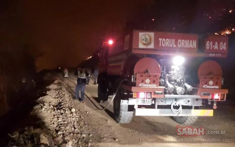 Karadeniz'de 26 noktada orman yangını: 5 ev kül oldu, tarım arazileri zarar gördü