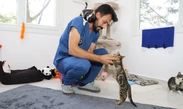 Sokak hayvanlarına son teknoloji merkez