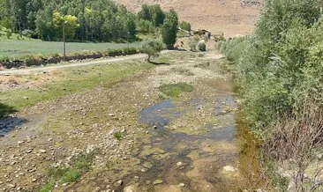 Siraz balığı yavruları tehlikede! Van Gölü'ne dökülen Muradiye Bendimahi Çayı'nda su seviyesi düştü #van