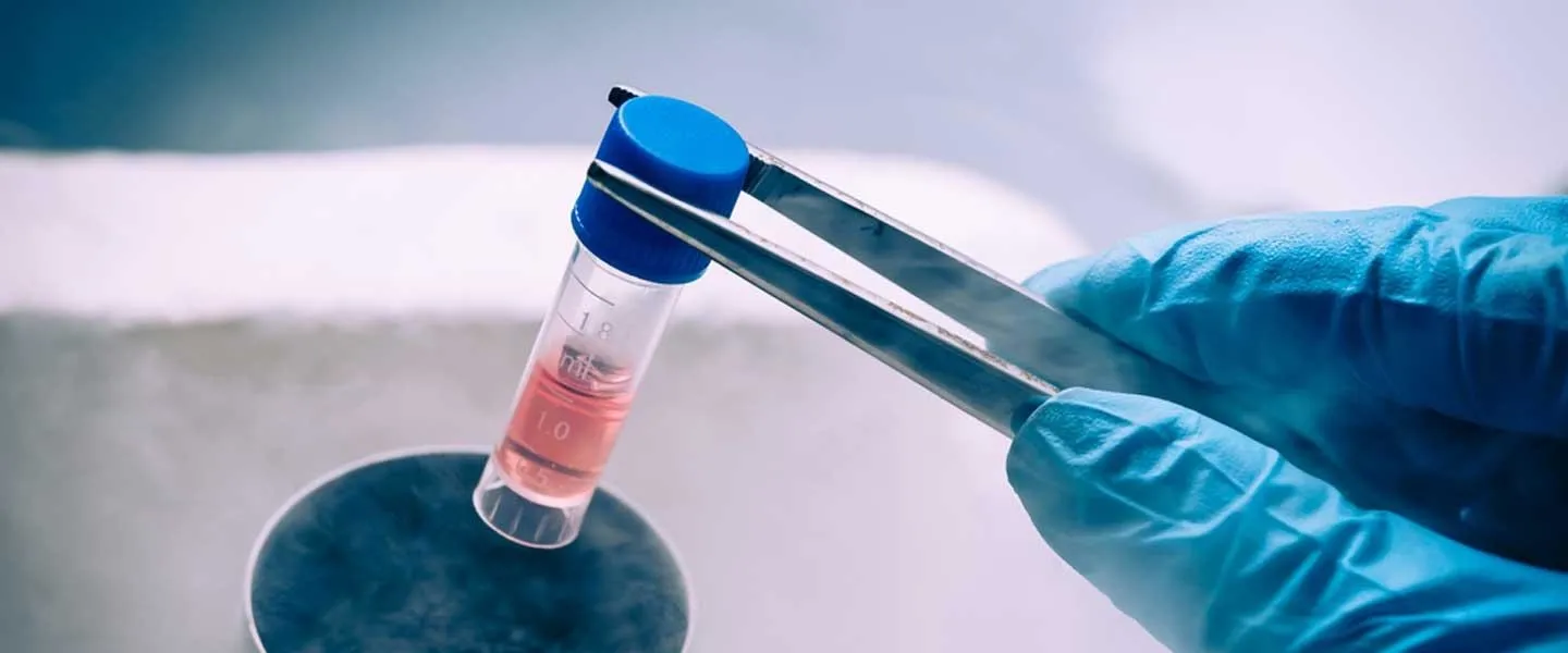 PROF. DR. OSMAN MÜFTÜOĞLU / Kök hücre terapisi: Umut mu, abartı mı?