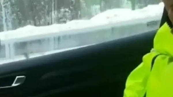Donmak üzere olan kuş polis aracında ısındı | Video