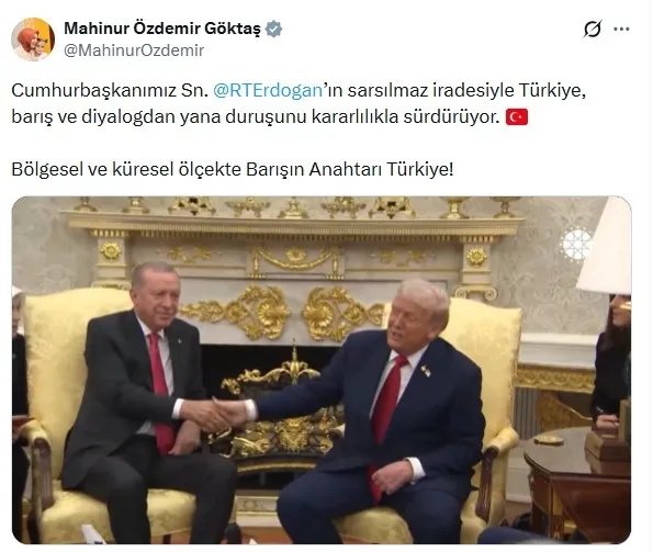 cabinet-members-emphasized-the-key-to-peace-turkey-sharing-president-erdogan's-leadership-1776456238046.jpg (595×503)