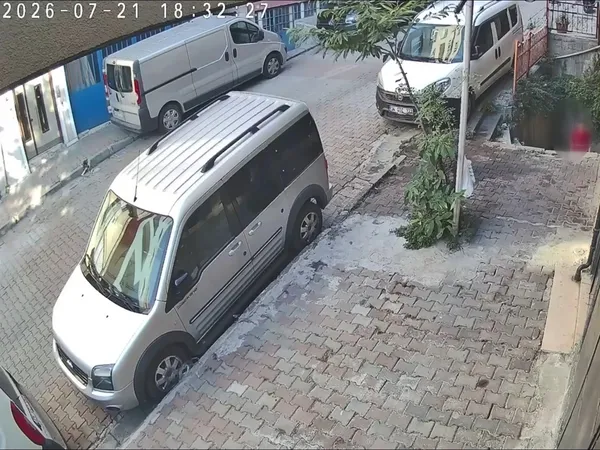 1784708990768.jpg
