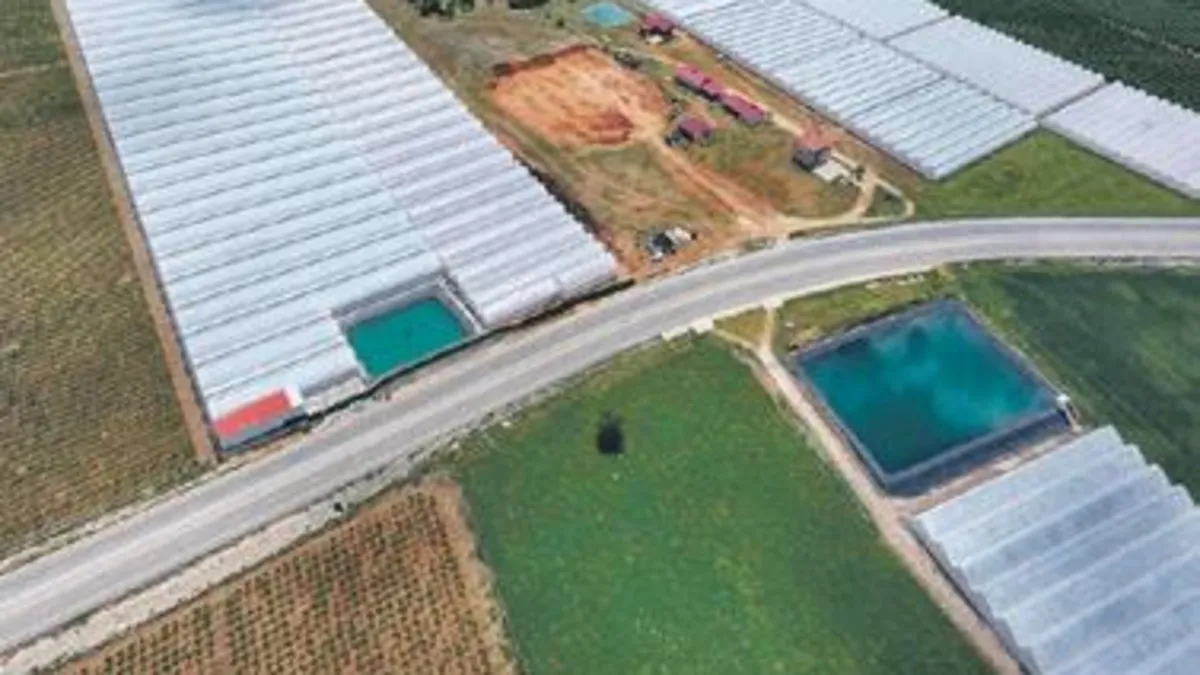 Brüt satışlar beş yılda 9 katına çıktı