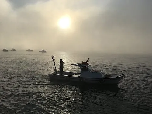 Istanbul Dan Sis Goruntuleri