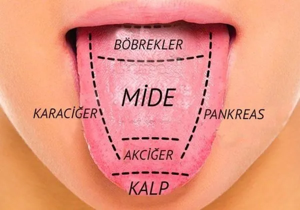 Bu haberi okuduğunuzda dilinize bakacaksınız!