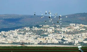 Afrin sınırının karşısındaki Reyhanlı semalarında artık roketler değil güvercinler uçuyor