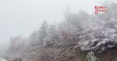 Kastamonu’nun yüksek kesimlerinde yoğun sis | Video