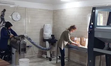 Kadın girişimciler proje desteğiyle köylerine fındık işleme tesisi kurdu #giresun Kadın girişimciler proje desteğiyle köylerine fındık işleme tesisi kurdu #giresun