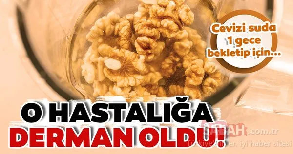 O hastalığın dermanı süper besin ceviz! Cevizi suda 1 gece bekletip içerseniz faydalarına inanamayacaksınız!