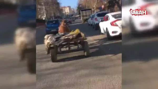 Tekirdağ'da sahibinden kaçan başıboş atın trafikte tehlike saçtığı anlar kamerada | Video