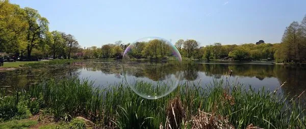 Central Park'ta görsel şölen