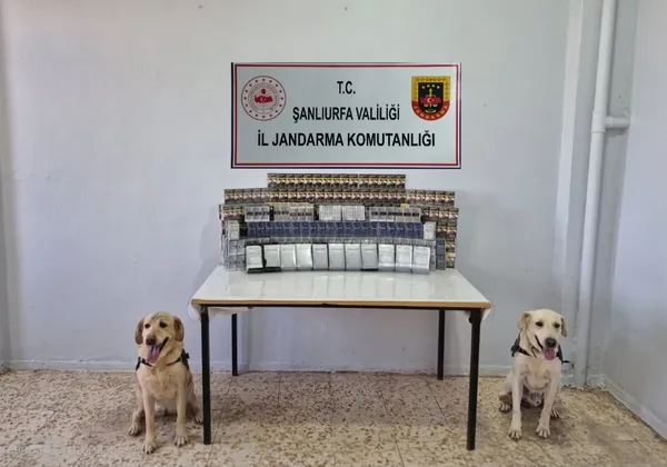 sanliurfada-jandarmadan-sok-operasyon-3-bin-210-adet-gumruk-kacagi-sigara-ele-gecirildi-1753278613625.jpg