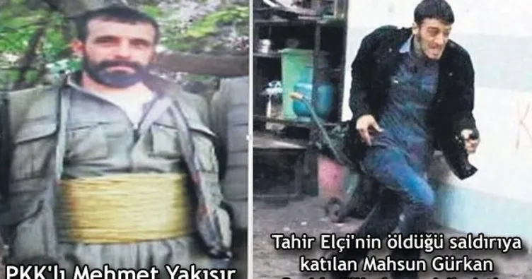 O PKK’lının yeğeni de polis katili çıktı