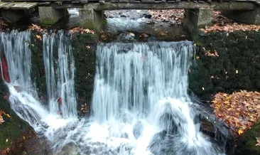 Rüyada şiir okumak ne anlama gelir?