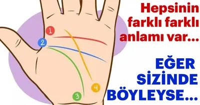 Avuç içinizdeki çizgiler kişiliğinizi yansıtıyor!