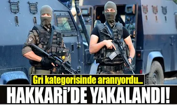 Gri listedeki terörist yakalandı!