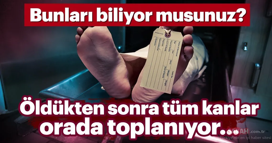 oldukten sonra tum kanlar orada toplaniyor galeri saglik