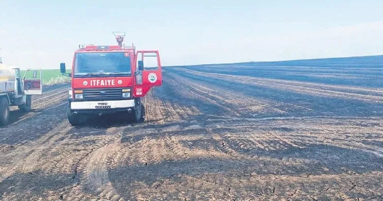 350 dönümlük buğday tarlası kül oldu