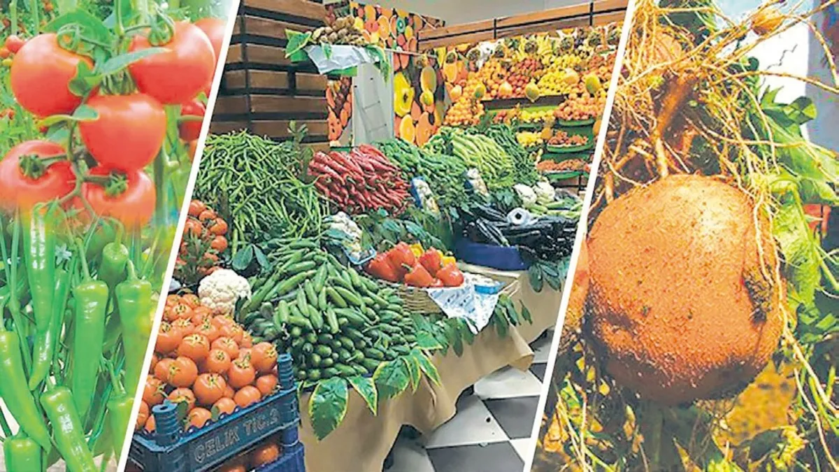 Tarla ile market rafı arasındaki makas genişliyor haber görseli