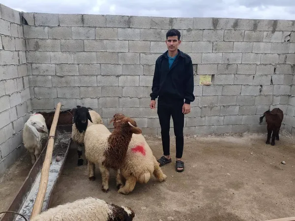 kayip-9-kucukbas-hayvan-drone-destekli-calismayla-bulundu-1779812740268.jpg