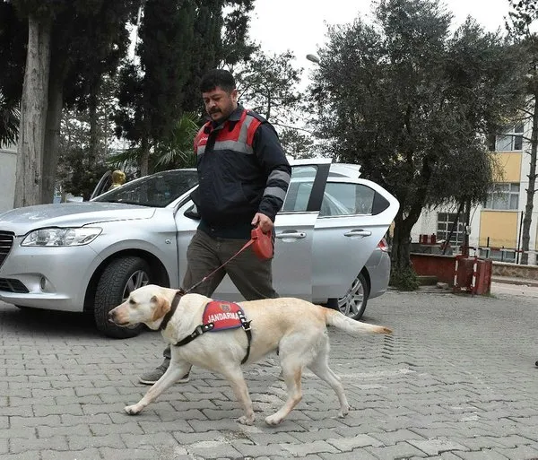 Bilecik'te ele geçirildi... Piyasa değeri tam 10 milyon TL