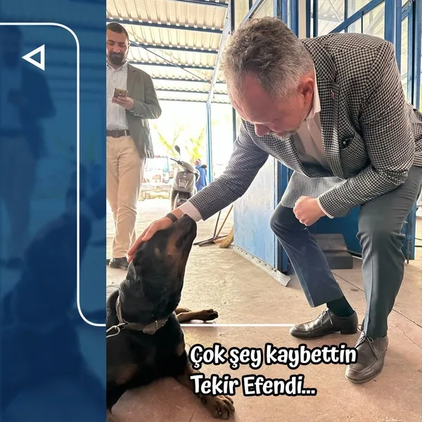 vekil-adayinin-hayvan-sevgisi-sosyal-medyada-gundem-oldu-1683220243935.jpeg