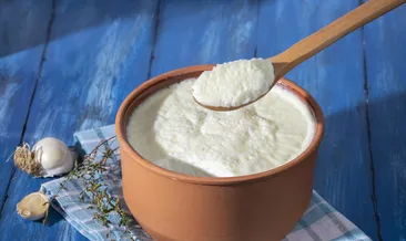 Evde taş gibi yoğurt mayalamanın yolu! Usta aşçıların sır gibi sakladığı formül...