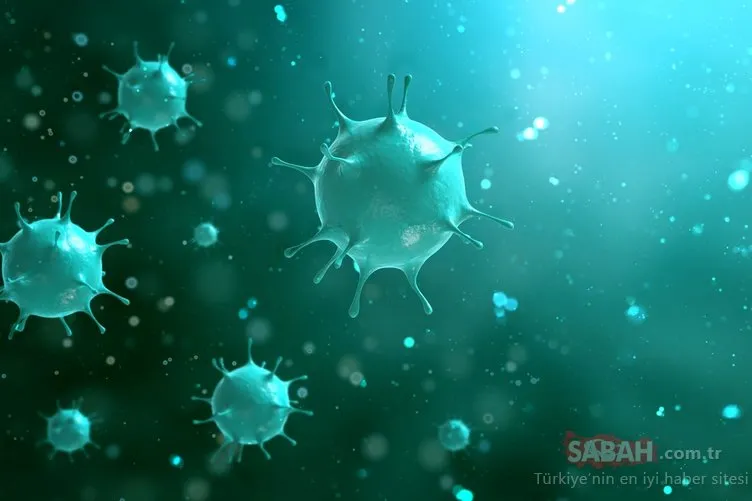İnfluenza A virüsü nasıl ortaya çıkıyor? İşte influenza ile baş etmek için 8 öneri