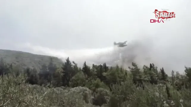 Rodos'ta orman yangınlarıyla mücadele kamerada | Video