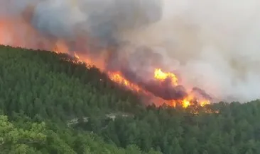 Son dakika: Manisa ve Kütahya’da orman yangını! Ekiplerin müdahalesi sürüyor