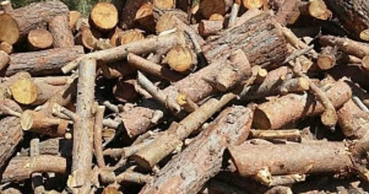Anamur’da 100 ster kaçak odun ele geçirildi