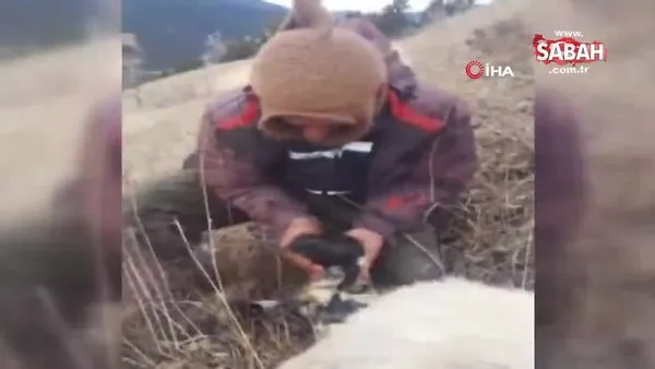 Çoban yeni doğan kuzuyu yaşatmak için böyle uğraştı | Video