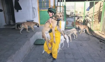 Uyutmayın kısırlaştırın