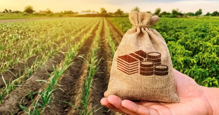 Kırsal kalkınmaya yeni destekler