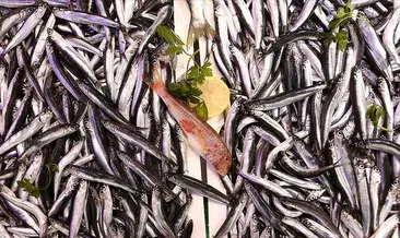 Hamsi bolluğu fiyatları düşürdü