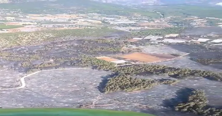 Muğla’daki orman yangını kontrol altına alındı