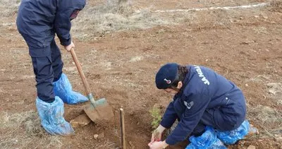 Jandarma gelecek nesiller için fidan dikti #kirsehir
