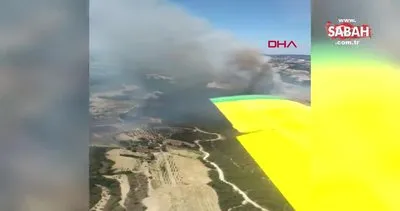 Manisa’da orman yangını çıktı | Video