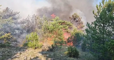 Karabük’teki orman yangınına müdahale ediliyor