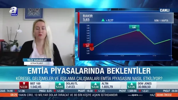 2021 yılında piyasalarda beklentiler neler? Karabulut: 2021 yılının hikayesi emtia olabilir
