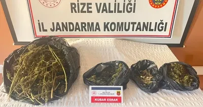 Jandarmadan Rize’de esrar operasyonu