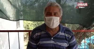 Antalya’da kenenin ısırdığı çiftçide Kırım Kongo virüsü tespit edildi | Video