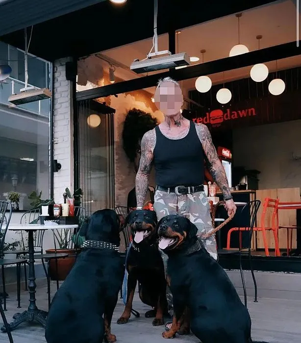 4 köpeğin saldırısına uğrayan köpek telef oldu: Sahibi ise yaralandı!