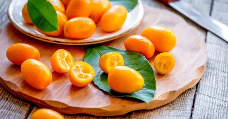 Kamkatın Faydaları Ve Zararları Nelerdir? Kamkat Nasıl Yenir, Meyvesi Ne Zaman Toplanır?